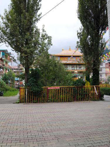 Himalayan Mist, Manāli (photo 9)