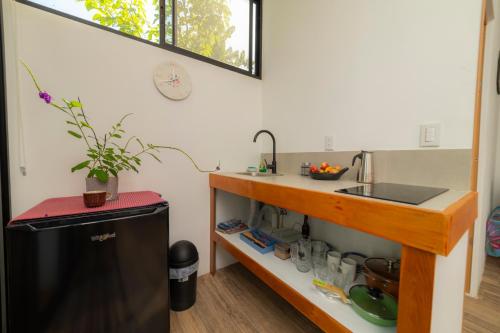 virtuve, Modern studio near Santa Teresa beach in Manzanillo