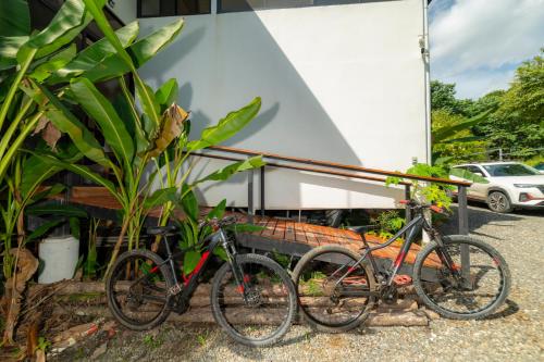 Sports un aktivitātes, Modern studio near Santa Teresa beach in Manzanillo
