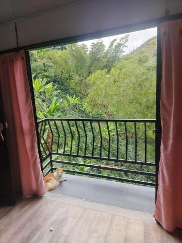 Casa campestre in 마리키타