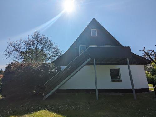 Kirschbaum in Wieck, Deutschland
