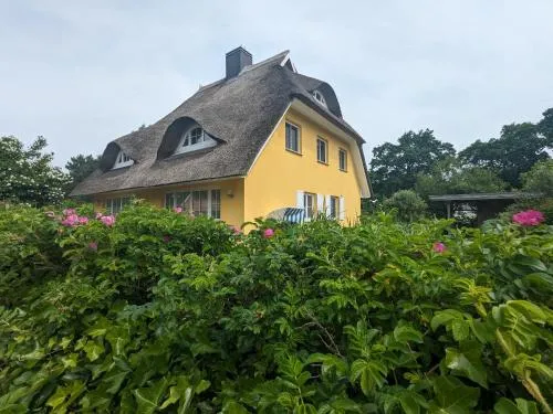Haus Wikinger in Born, Deutschland