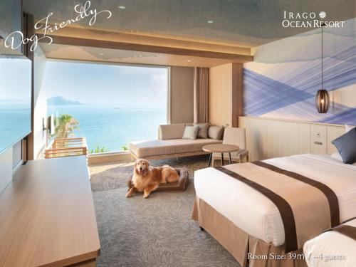 Dog Friendly Room