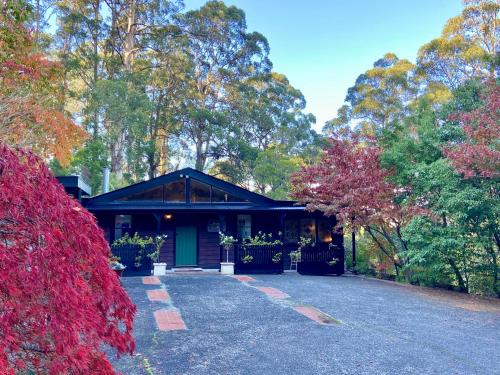 Bejárat, 22 négyzetméteres, 1 hálószobás Bungaló 1 fürdőszobával Ferny Creek területén (Juniper & Rye - Romantic Cottage Sherbrooke Forest) in Ferny Creek