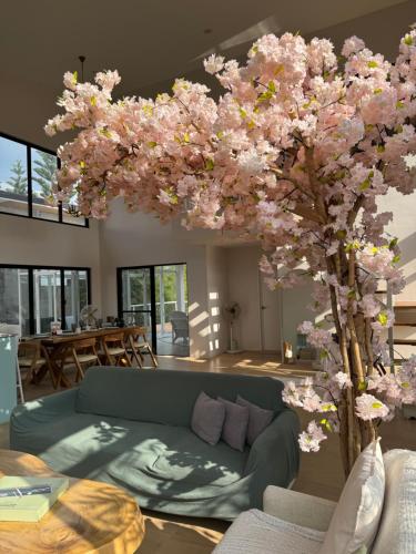 Experience Elements CherryBlossoms, Pool,SunRoom, Silang