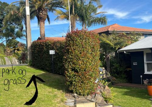 Brophys Beach Studio, Whitianga (foto 8)