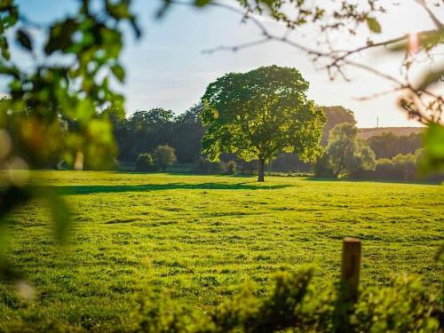 Buitenkant, Helen's Shepherds Hut in Enford
