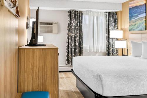 1 queen bed