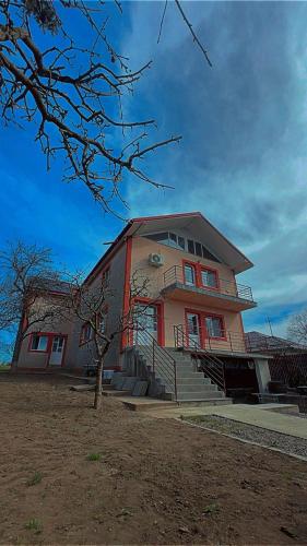 Casa Arghi Aroneanu, Aroneanu