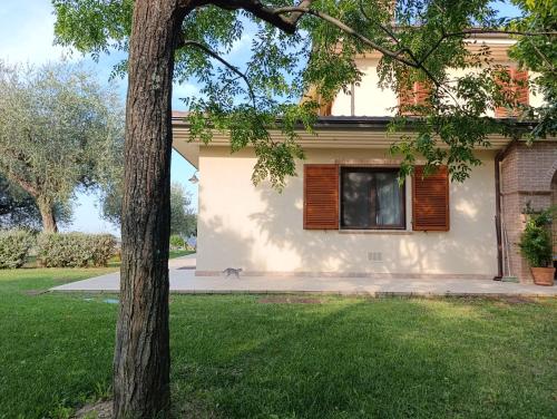 Relax nel verde a 5 minuti dal mare in appartamento dentro villa con giardino in มิซาโน อดริอาติโก