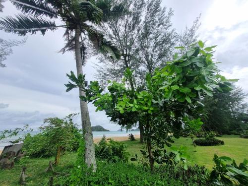 TK Beach Resort Koh Mak in マック島（トラット）