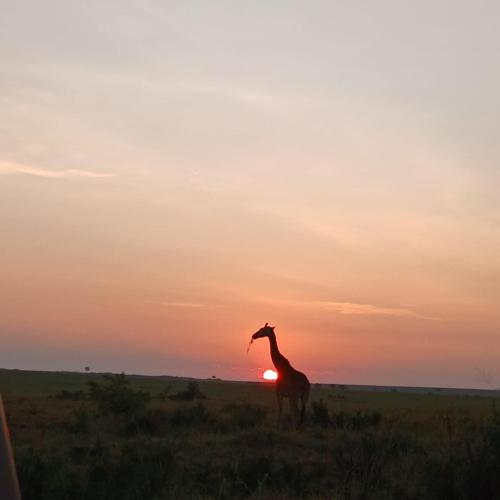 Lepuan safari in Narok