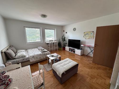 APARTMENT JOVOVIC in ปลูชิเน