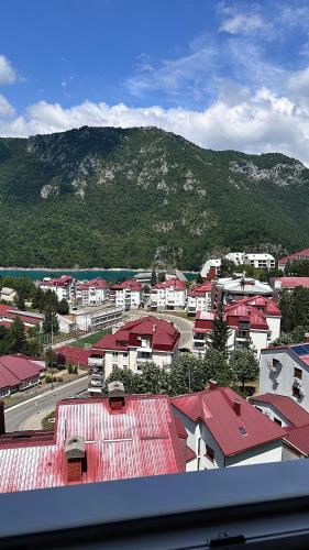 APARTMENT JOVOVIC in Pluzine
