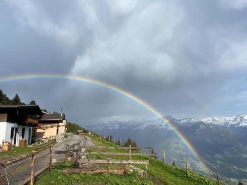  New holiday home on the Alm with terrace and balcony in Zellberg