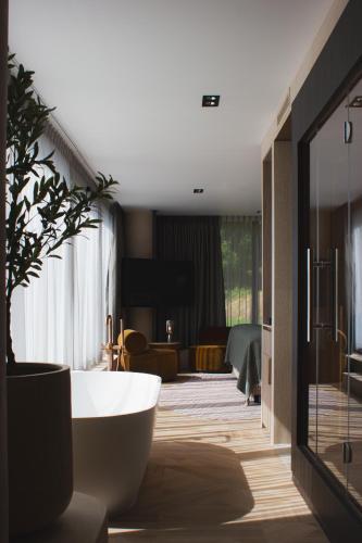 Thermae 2000 - image 13