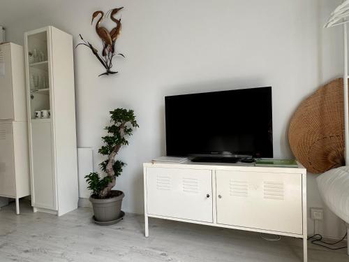 Zen in Schoorl in อาคท์ดอร์พ