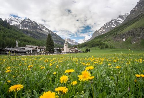  Case Gran Paradiso Rhemes Notre Dame, Pension in Rhêmes-Notre-Dame bei Valgrisenche