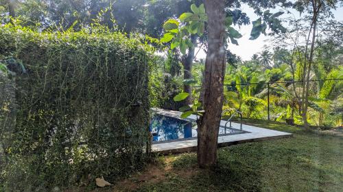 Senki Villa - Galle, Galle (foto 5)
