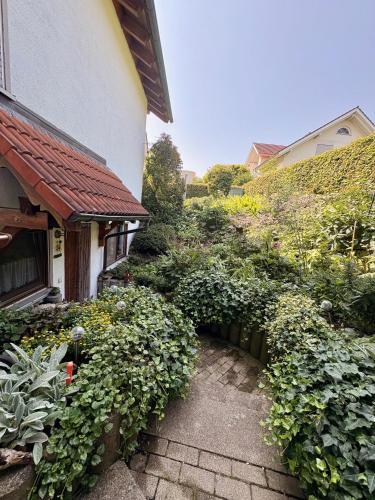 Ferienwohnung 6 Minuten zum Bodensee, 10 Minuten zum Stadtzentrum, sehr ruhig, kühl auch bei Hitze in Friedrichshafen, Deutschland