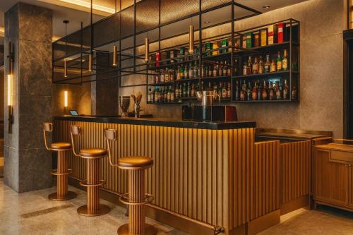 Ramada Plaza By Wyndham Istanbul Sultanahmet, Estambul (foto 8)