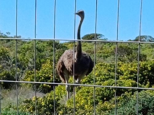 TimeOut 1, Yzerfontein (foto 10)
