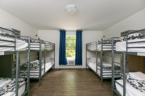 Single Bed in 8-Bed Mixed Dormitory Room
