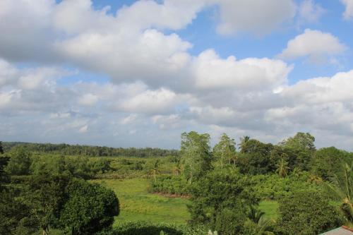 Ishi Villa Hikkaduwa - image 4