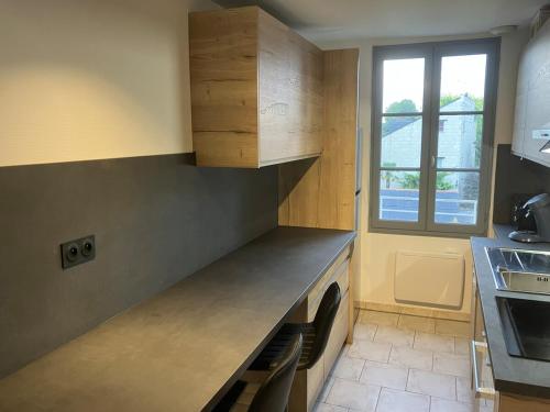 Grand appartement centre ville chateau St Pierre in La Metairie