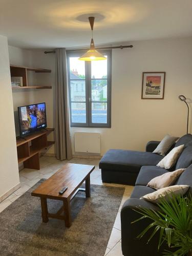 Grand appartement centre ville chateau St Pierre in La Metairie