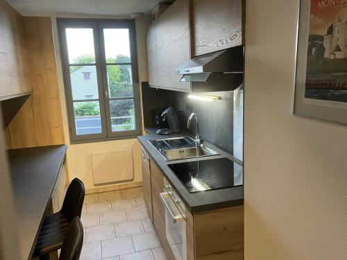 Grand appartement centre ville chateau St Pierre in La Metairie