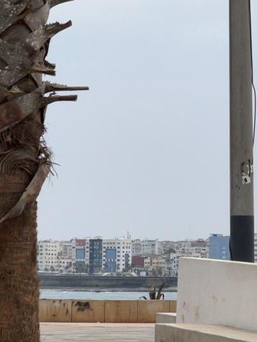 Appartement luxe, Casablanca (fotografie 2)