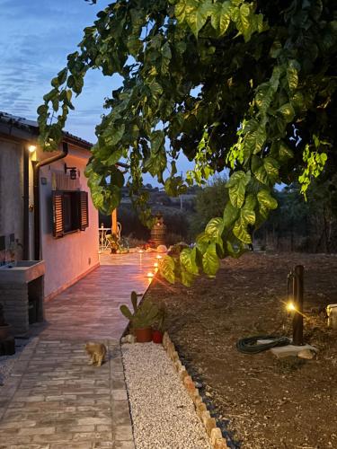 Il Gelso Bianco gîte à louer Scerni