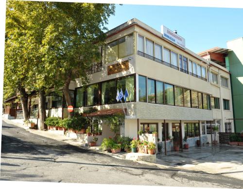 Minaides Hotel - image 4