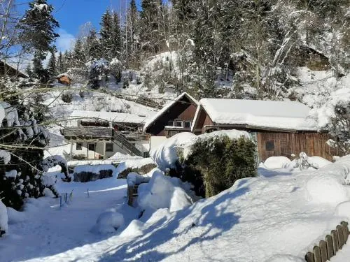 Apartment Feld am See near Ski Slopes in Feld am See, Österreich