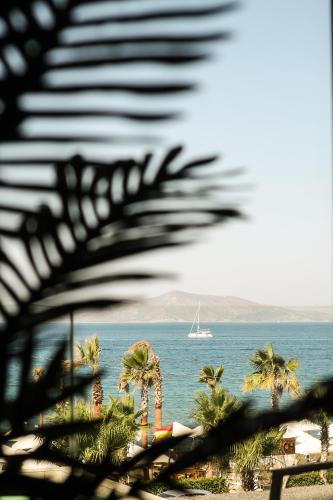 Rammos Managed By Dedeman, Bodrum (foto 4)