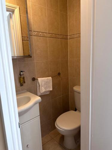 Balham Lodge - image 11