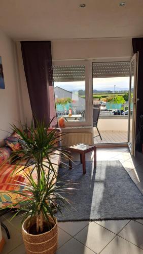 Ferienwohnung Vogesenblick in Endingen am Kaiserstuhl