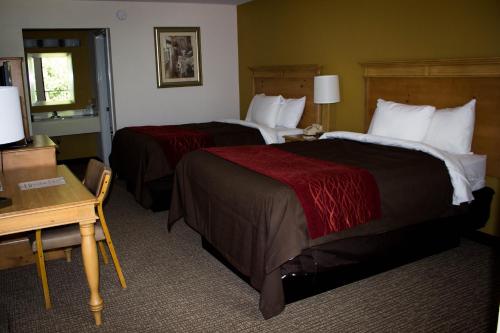 Grand Vista Hotel - image 3