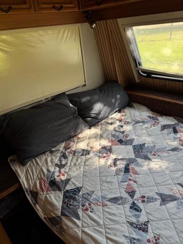 Arion Camp