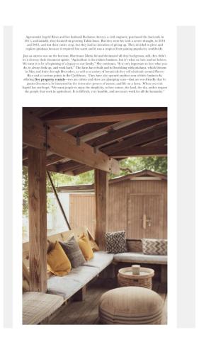 Rustic cabin in the heart of the fields of Pitahaya in La Parguera