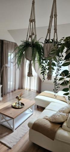 Ferienwohnung Belle in 安德納赫