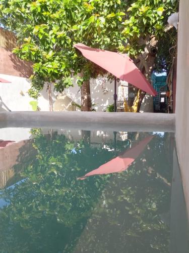 สระว่ายน้ำ, La Casa del Kéej Hostel (La Casa del Keej Hostel) in เมริดา