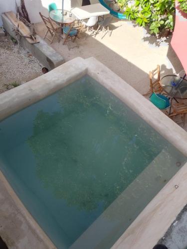 สระว่ายน้ำ, La Casa del Kéej Hostel (La Casa del Keej Hostel) in เมริดา