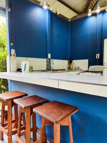 Nueva Vida Birding Paradise in โอซาเพนินซูลา