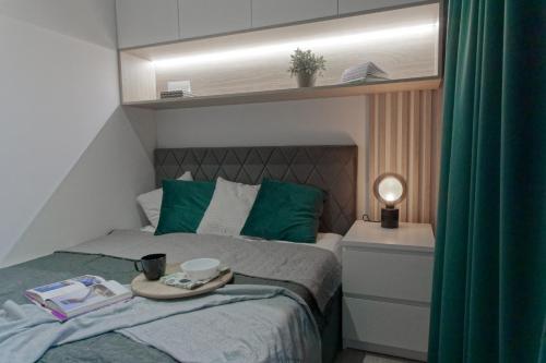 Green Oasis Apartment - City Center - Free Parking - Self check-in, Wroclaw (foto 5)