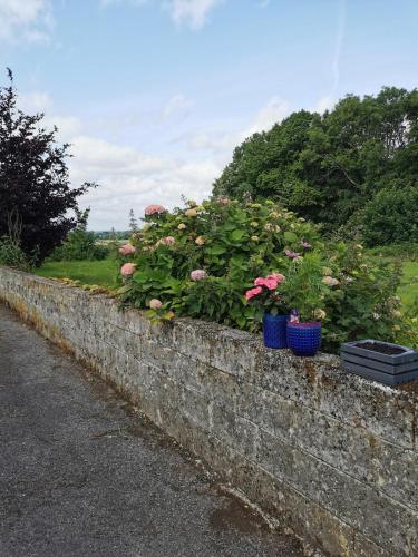 Nomad's Cottage and Yurt in Ballinasloe