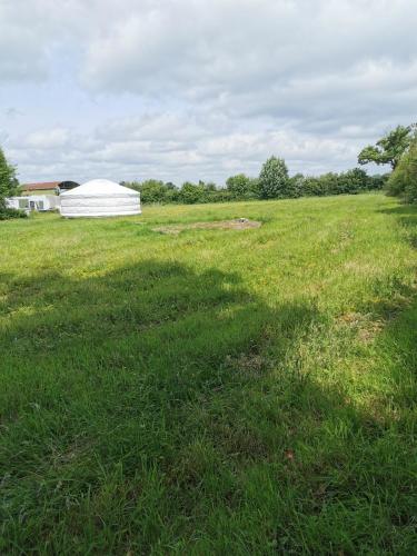 Nomad's Cottage and Yurt in Ballinasloe