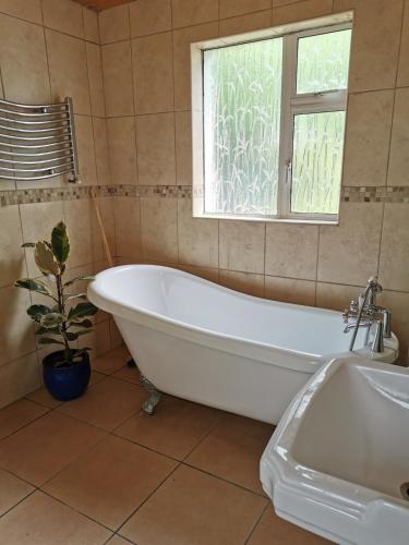 Nomad's Cottage and Yurt in Ballinasloe