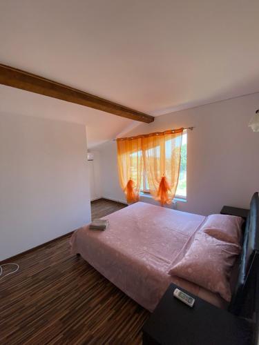 Casa La Taicu in Szörényvár